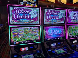 dewi21 Monopoly Live game show with spinning wheel, animated board, and live host